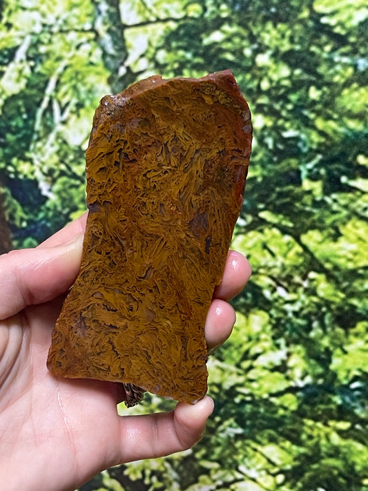 Fiery Orange Moss Agate Slab